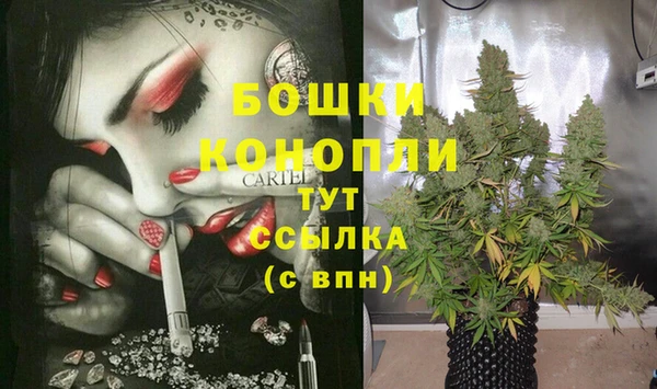 дживик Магадан